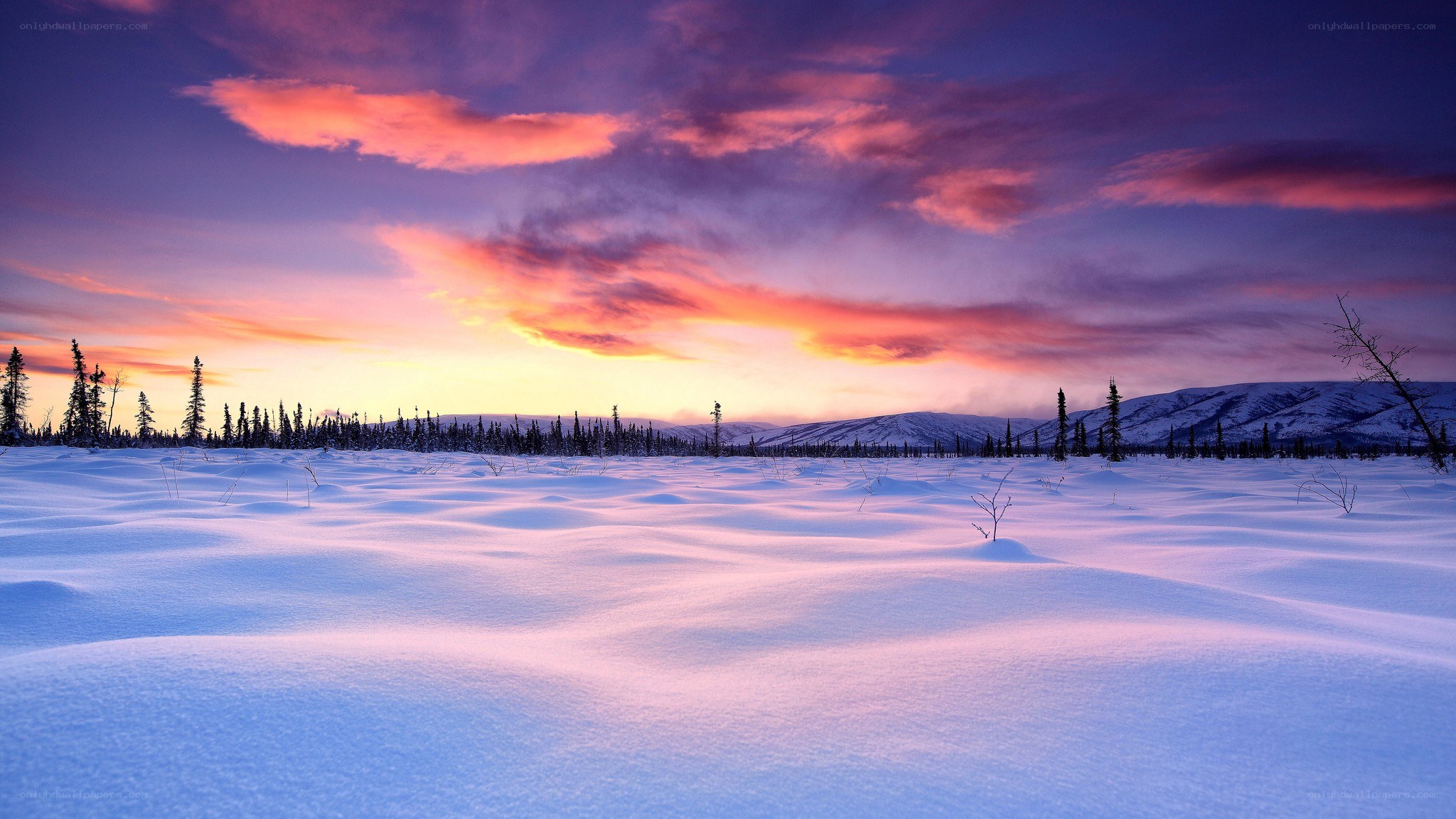 Snowy landscape at sunset