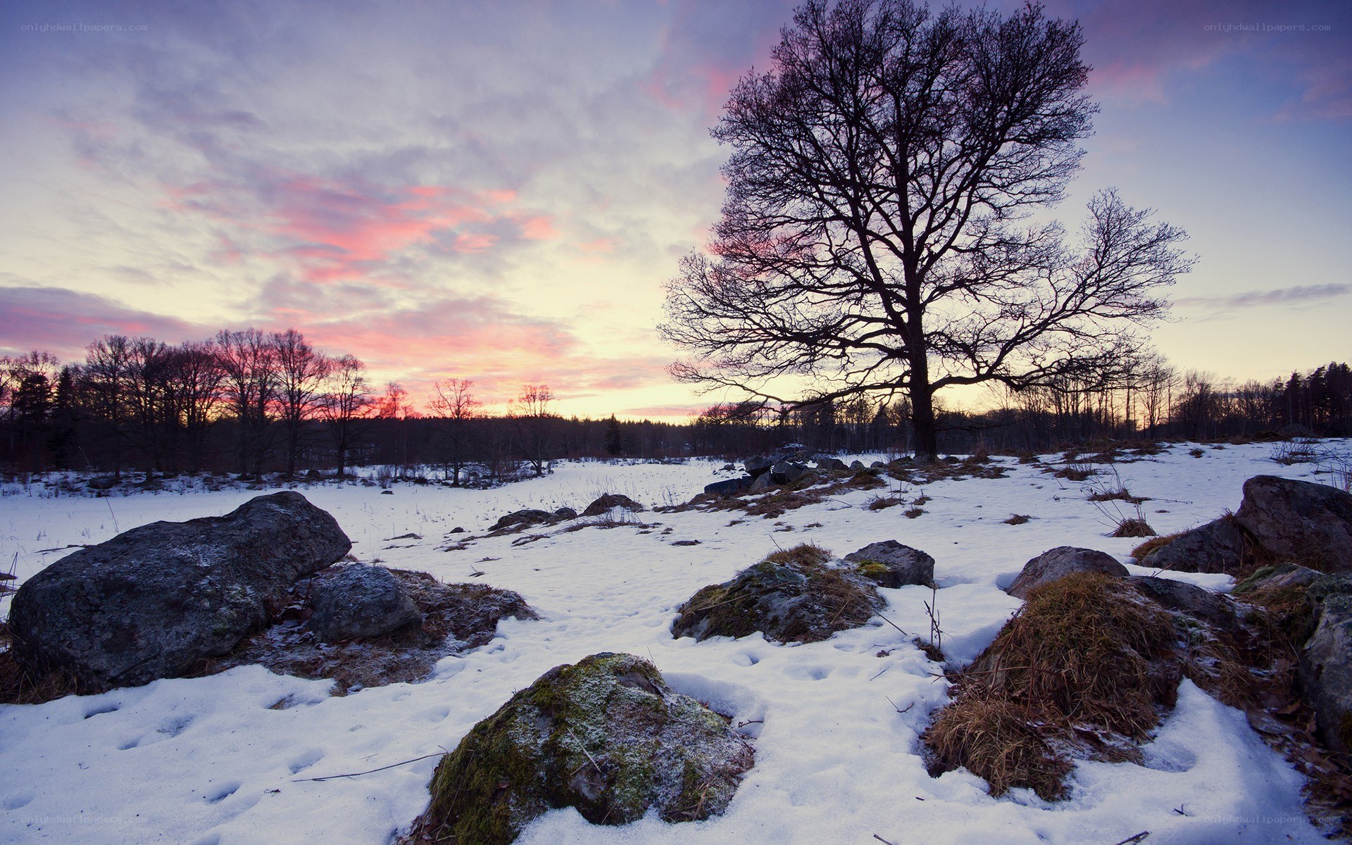 Snowy landscape at sunset
