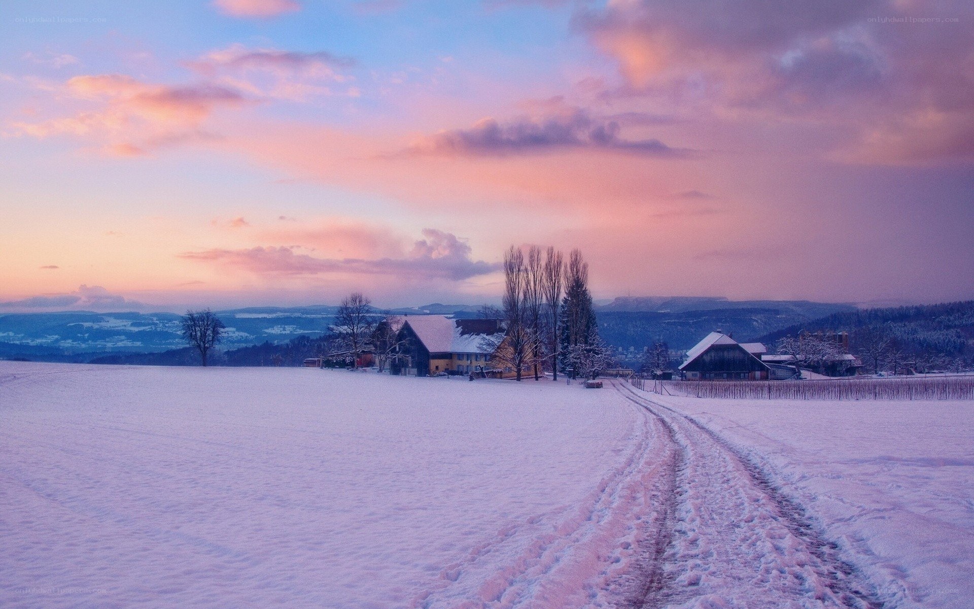 Snowy landscape at sunset