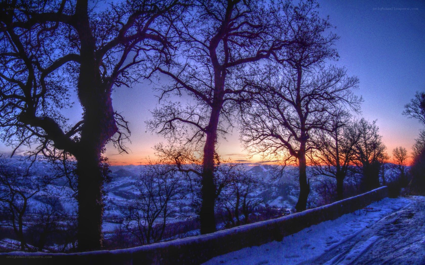 Snowy landscape at sunset