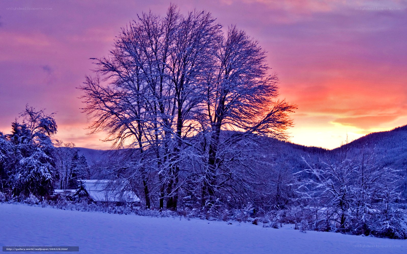 Snowy landscape at sunset