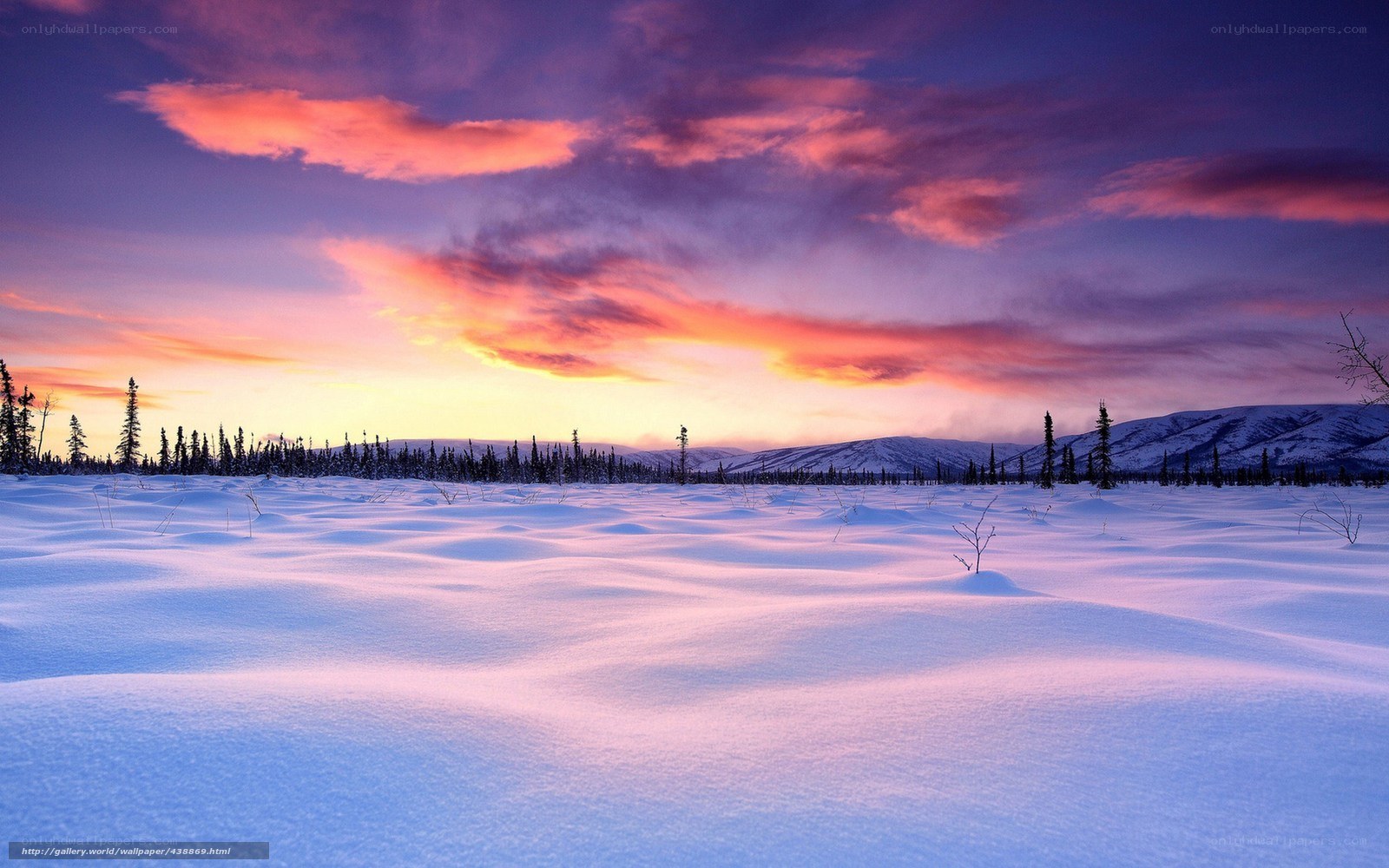 Snowy landscape at sunset