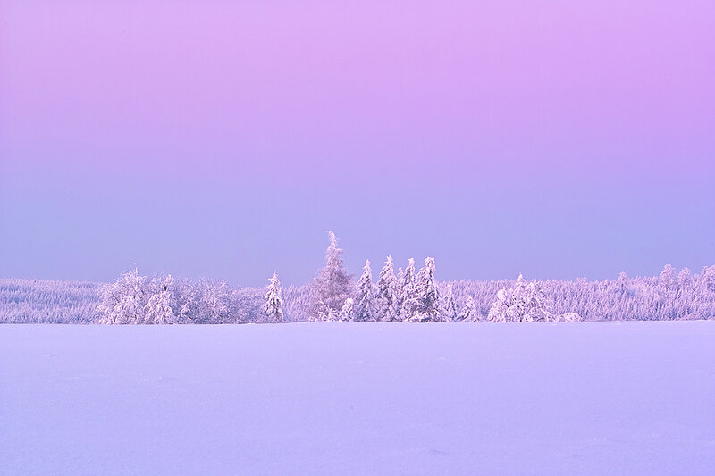 snowy landscape at twilight