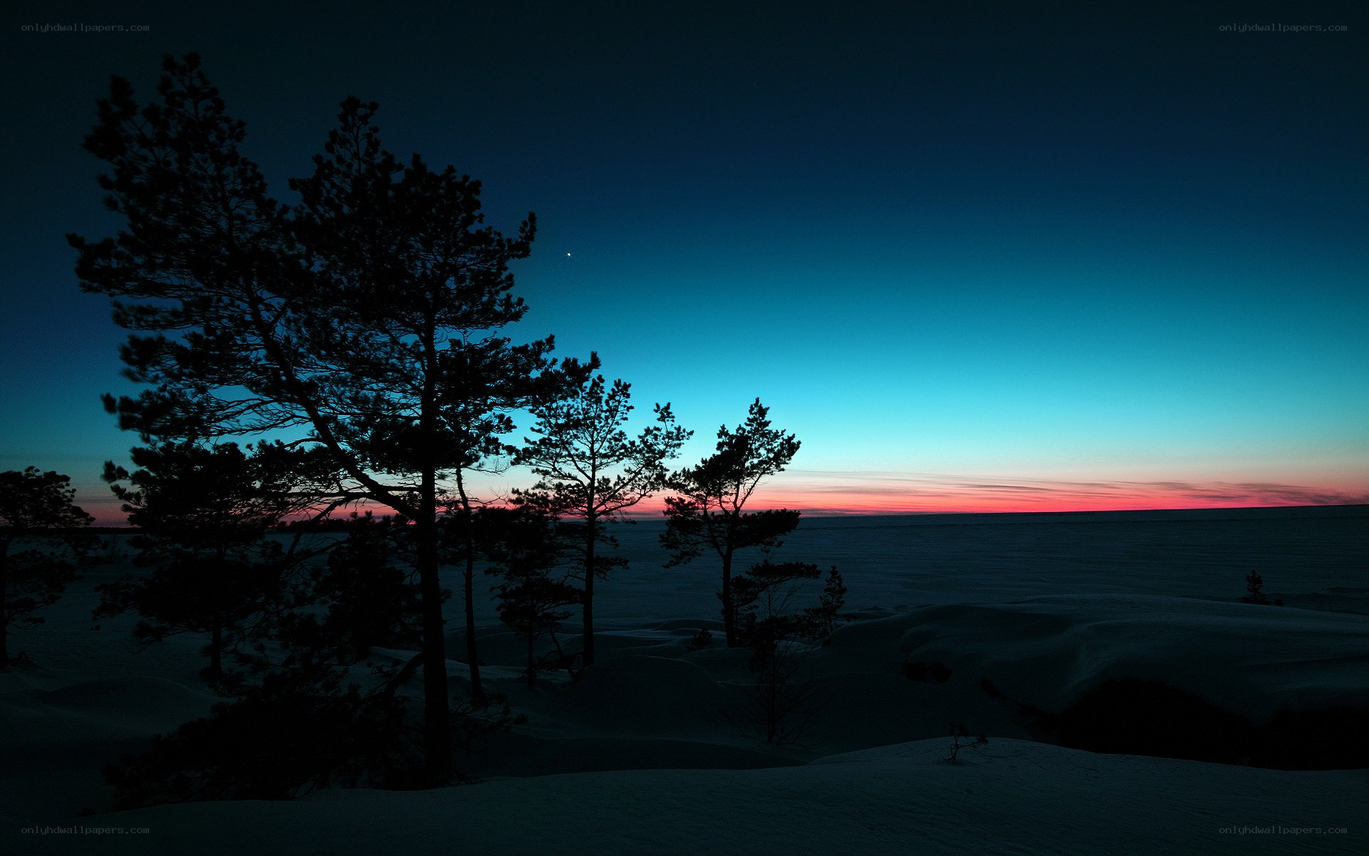 Snowy landscape at twilight
