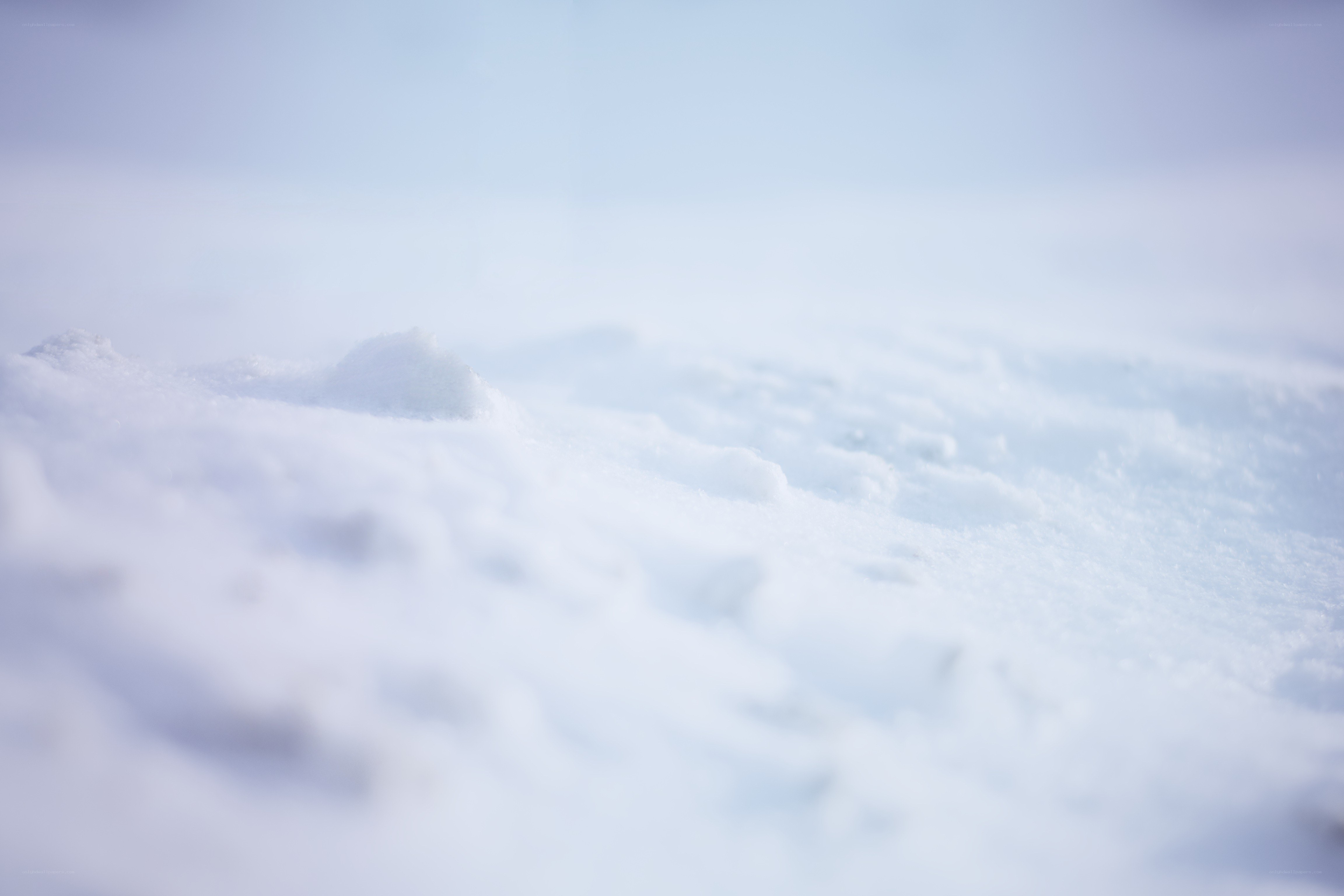 snowy landscape close-up