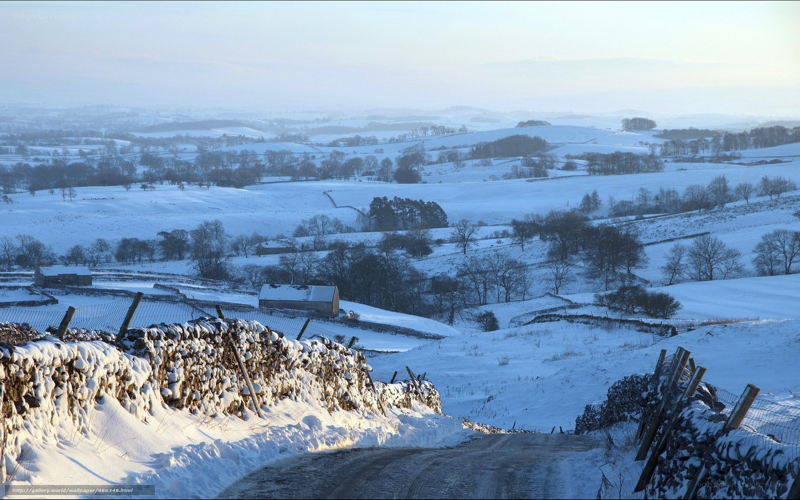 Snowy landscape in winter