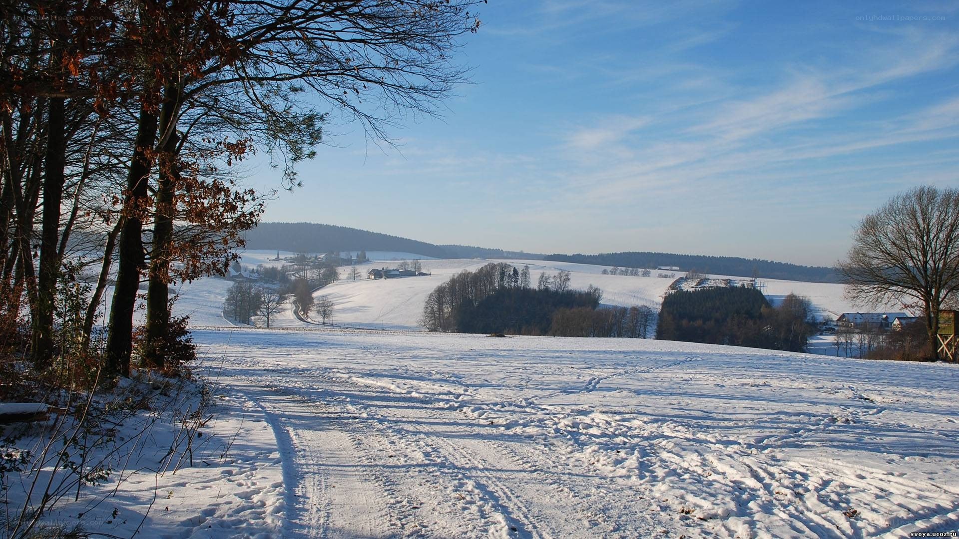 Snowy landscape in winter