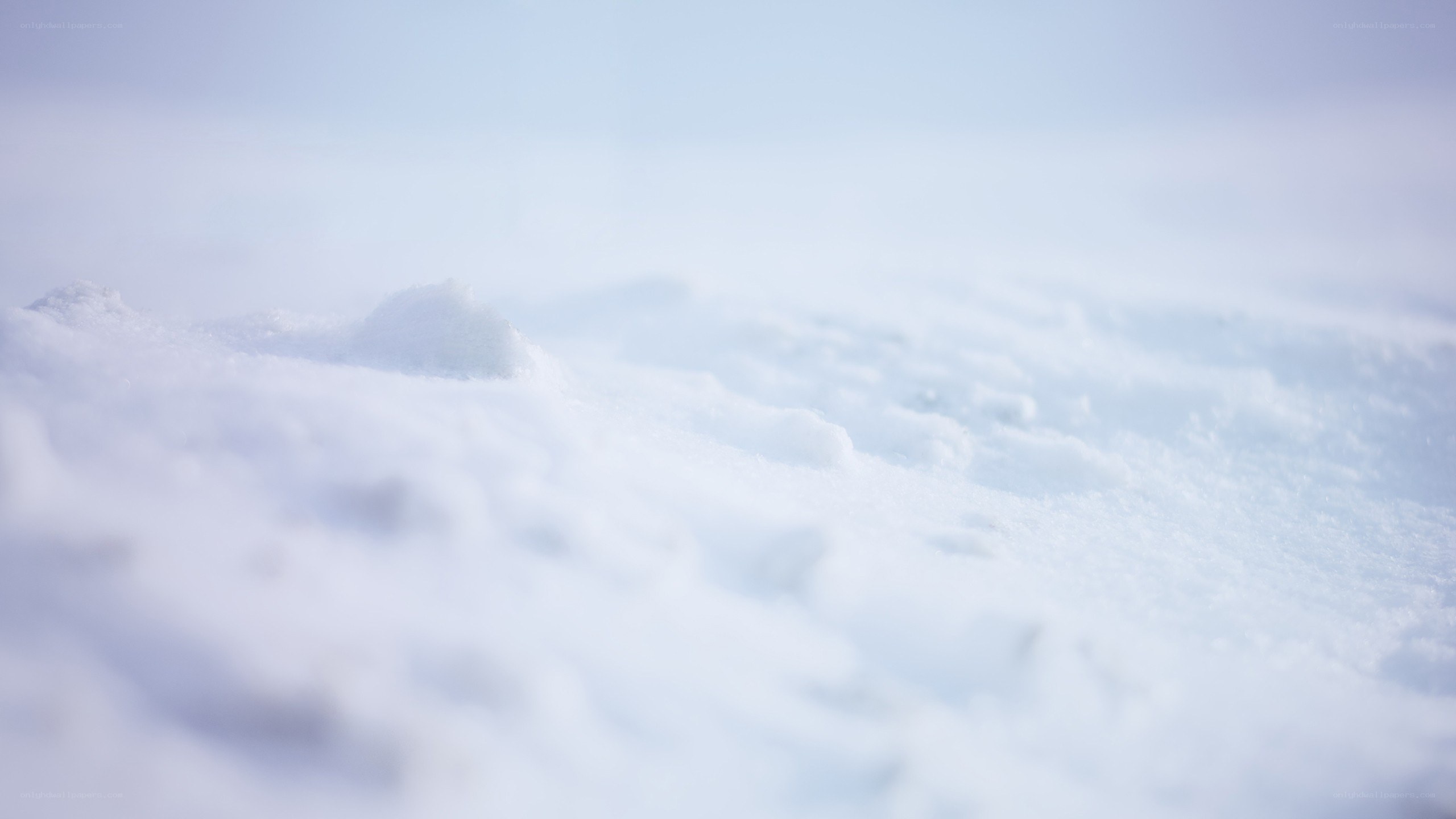 snowy landscape in winter