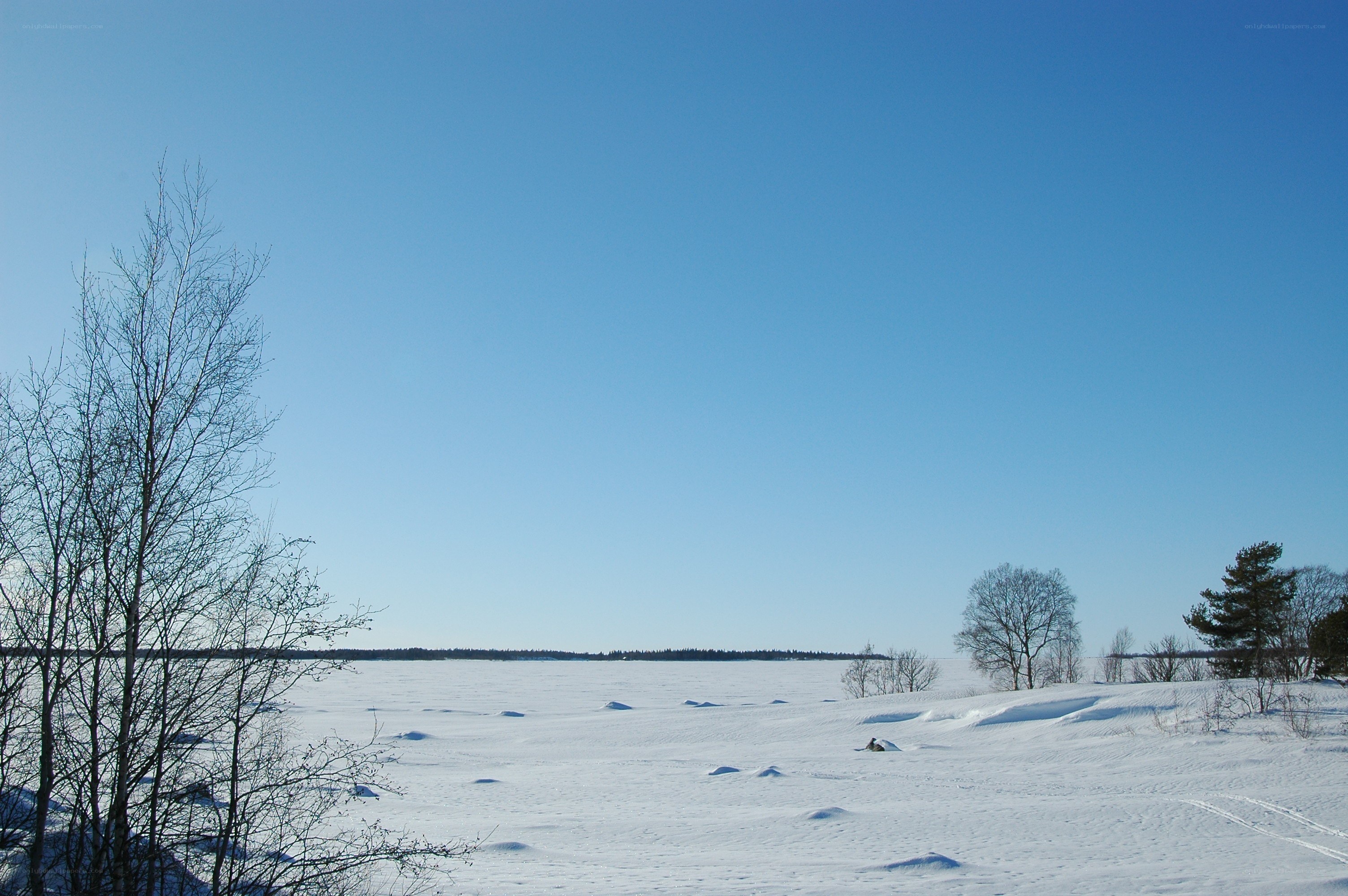 Snowy landscape under clear sky