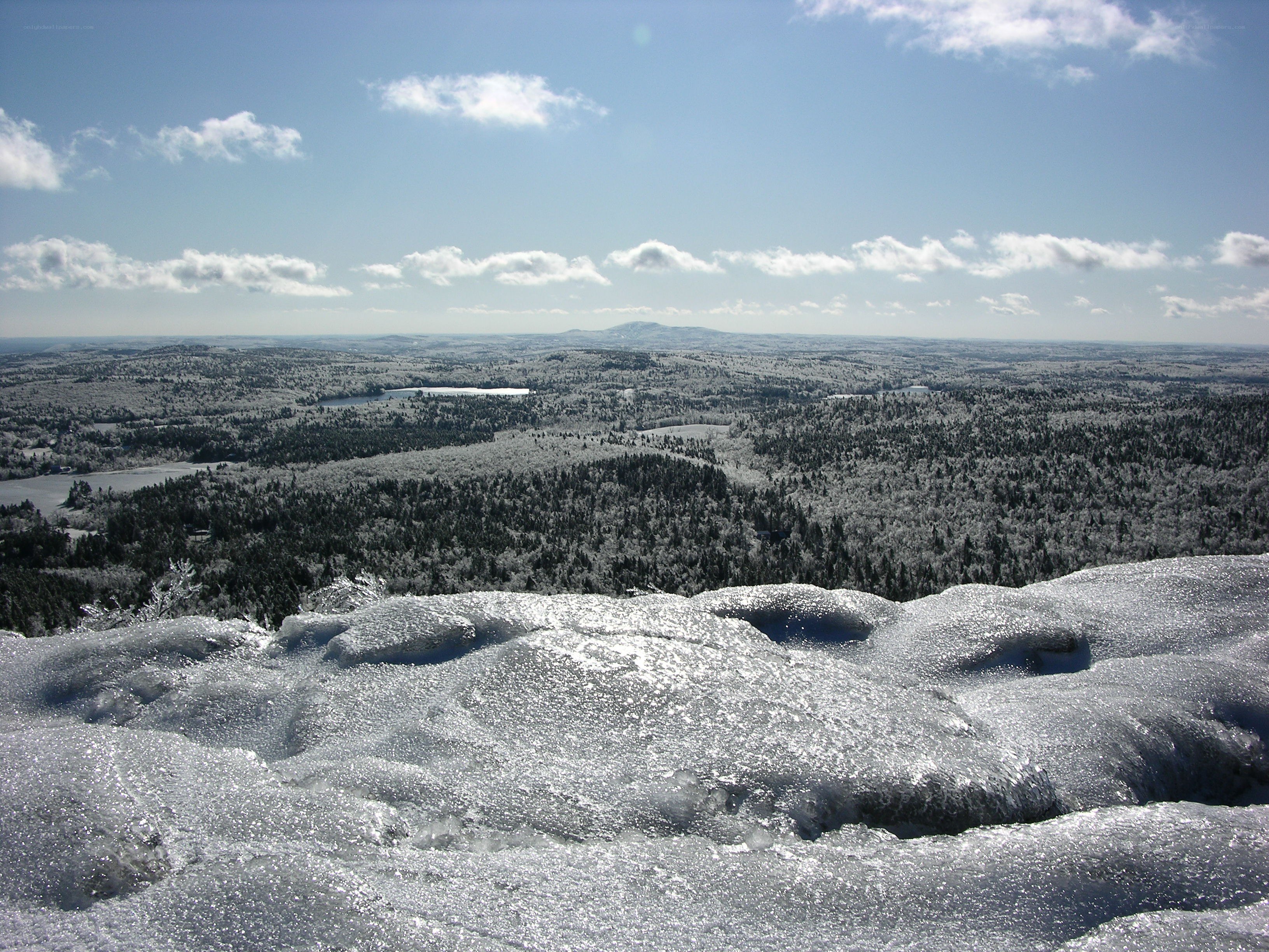 Snowy landscape view
