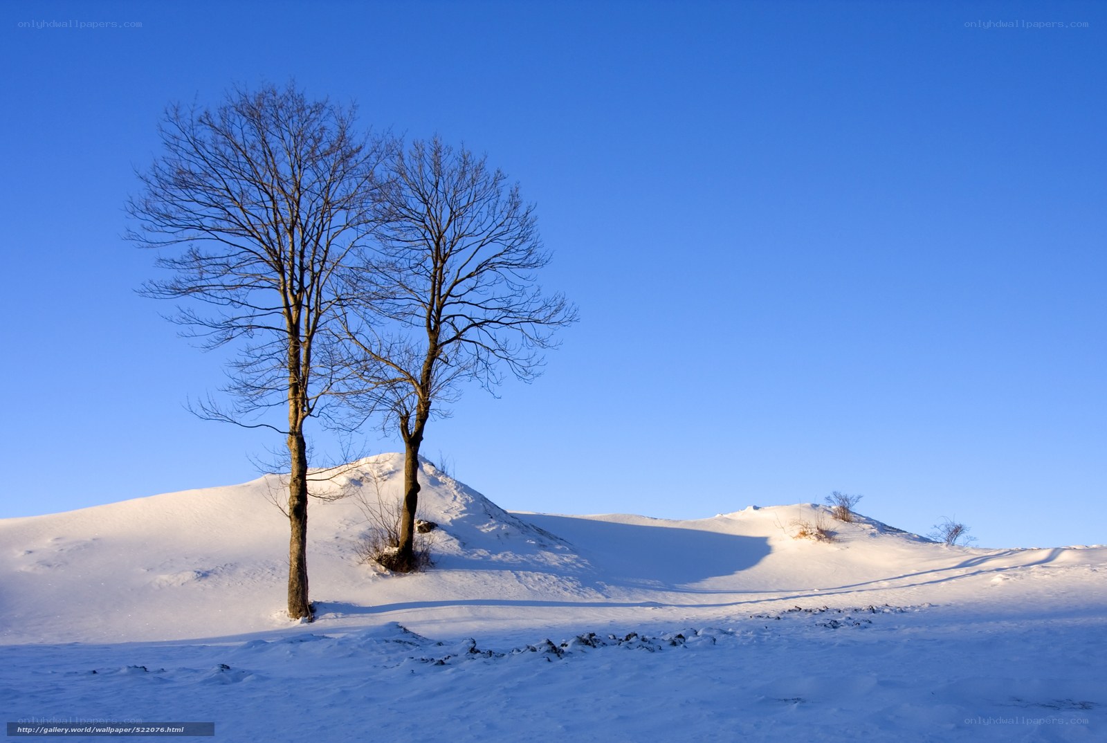 Snowy landscape with bare trees