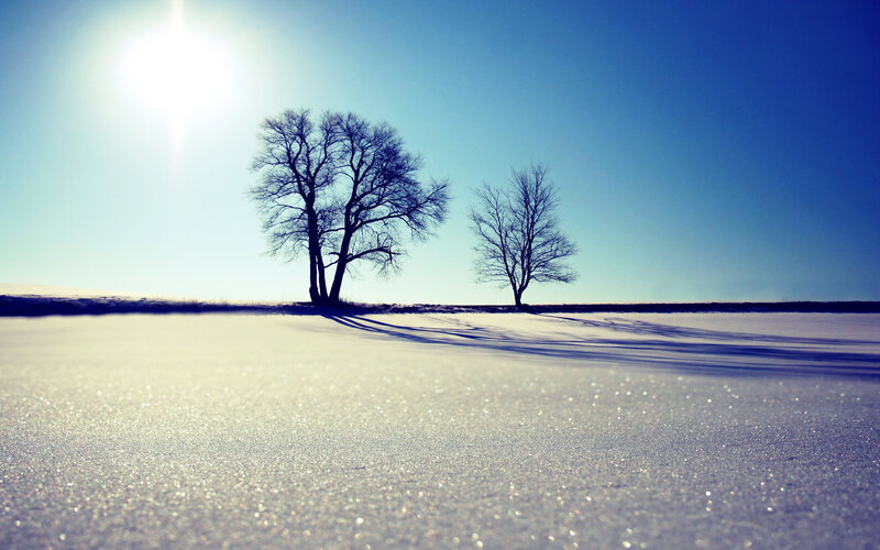 Snowy landscape with bare trees