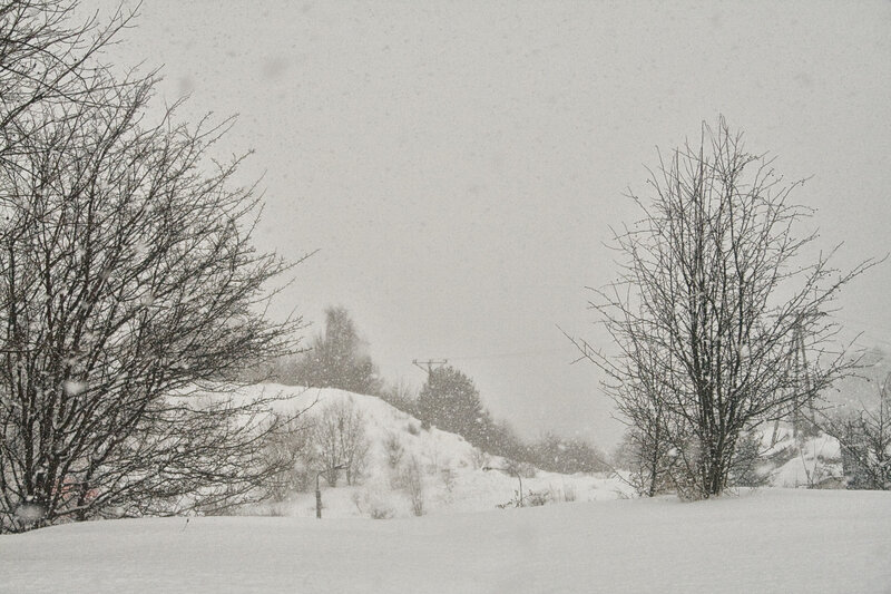 Snowy landscape with bare trees