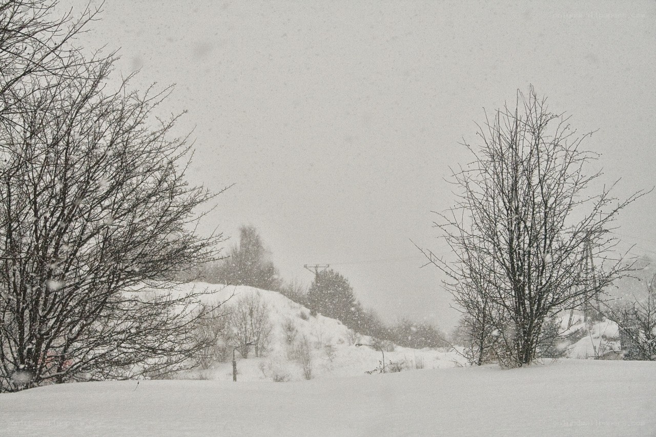 Snowy landscape with bare trees