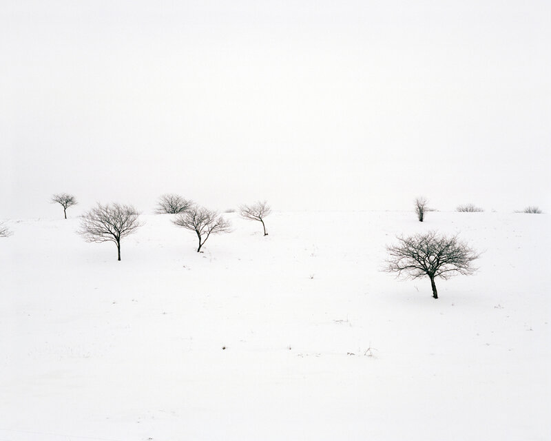 Snowy landscape with bare trees