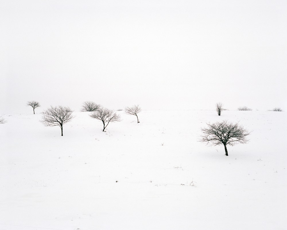 Snowy landscape with bare trees