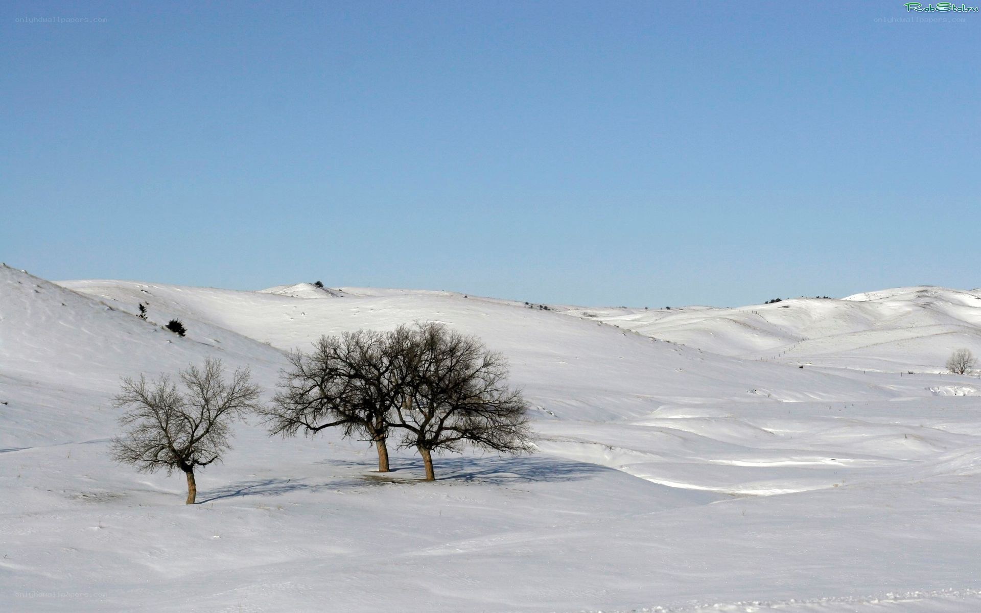 Snowy landscape with bare trees
