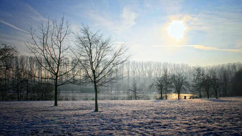 Snowy landscape with bare trees