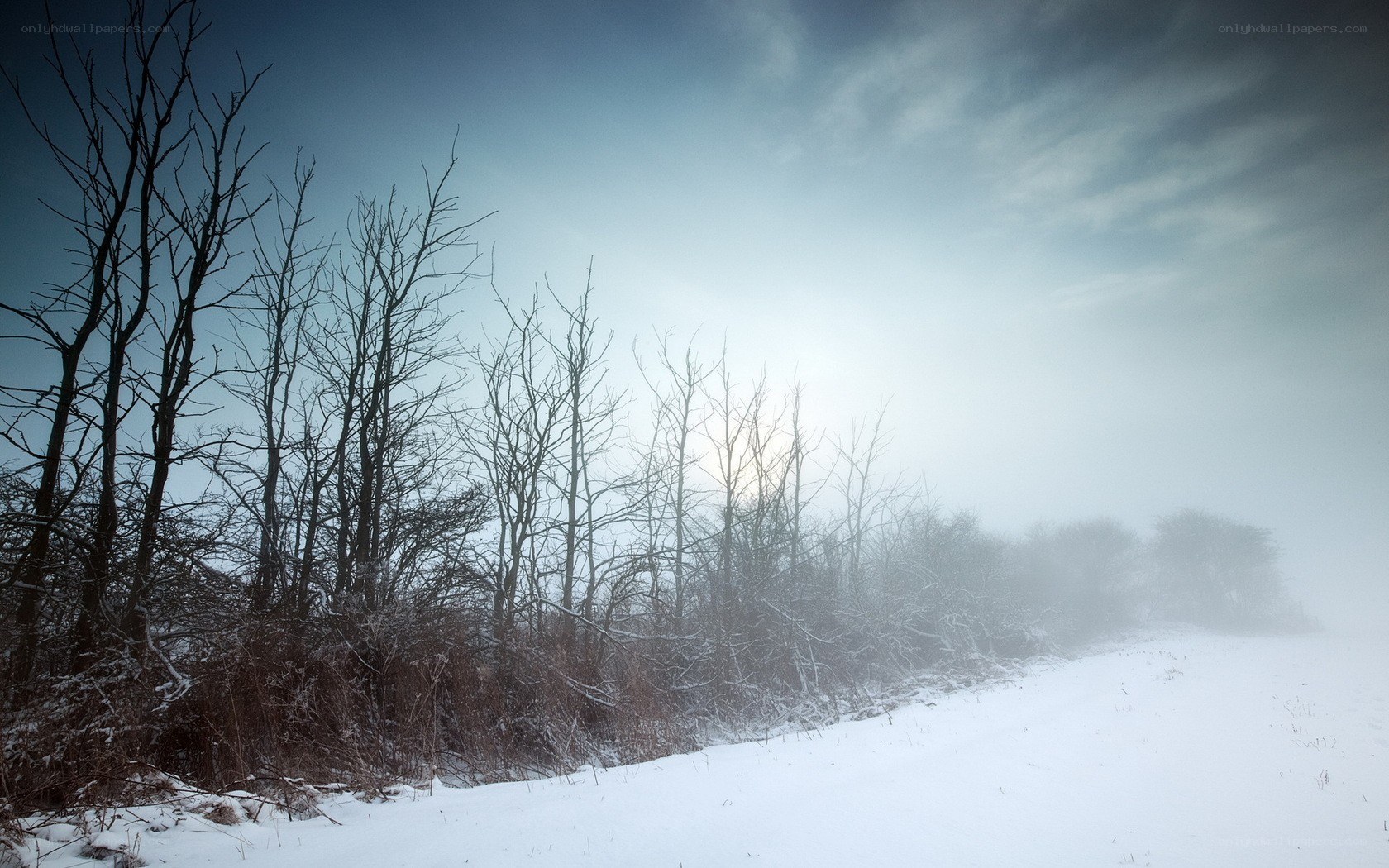Snowy landscape with bare trees
