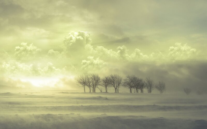 Snowy landscape with bare trees
