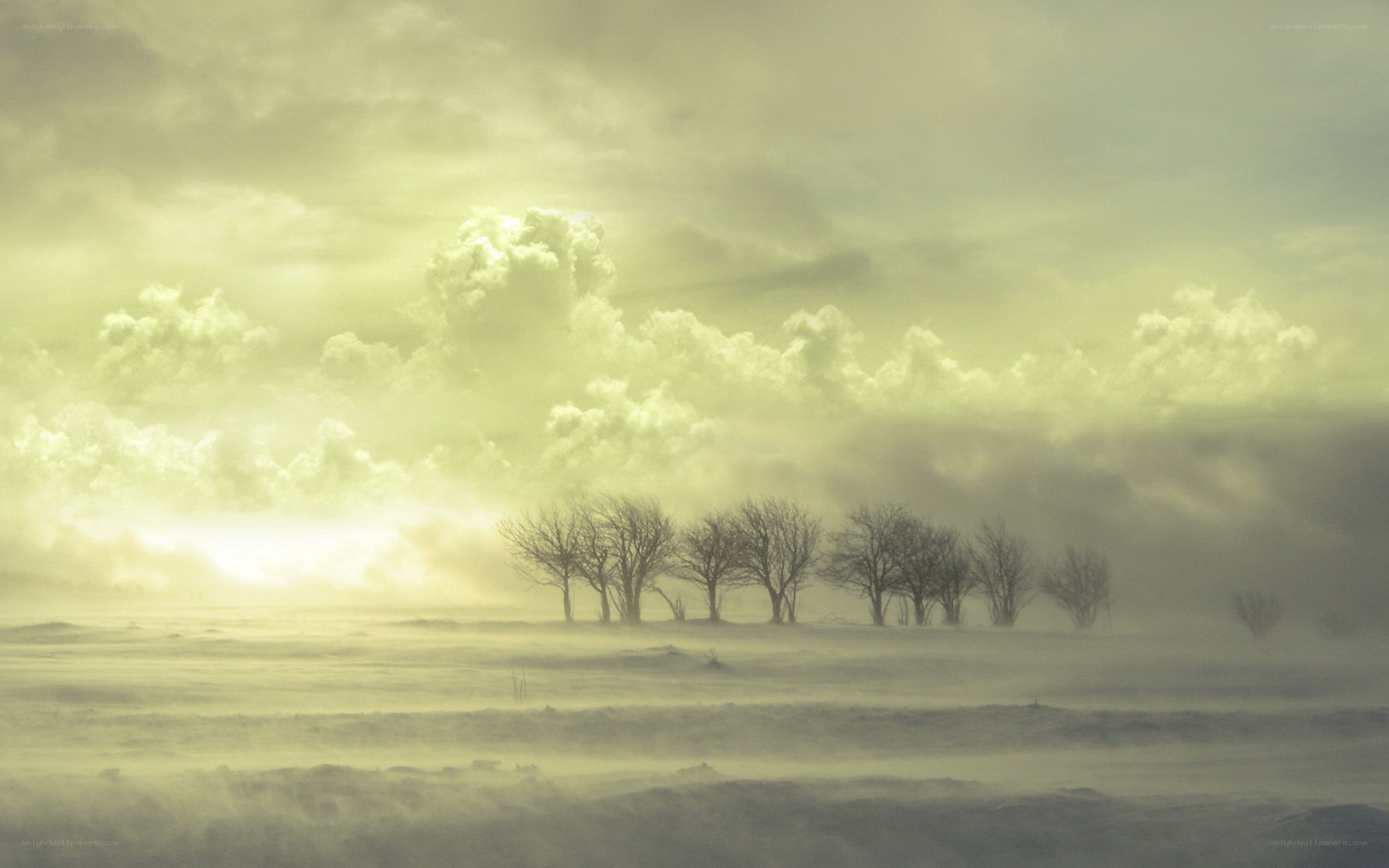 Snowy landscape with bare trees