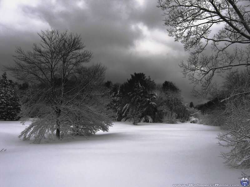 Snowy landscape with bare trees