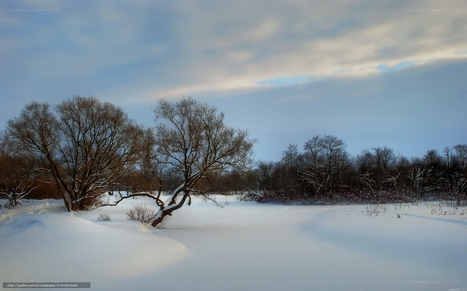 Snowy landscape with bare trees