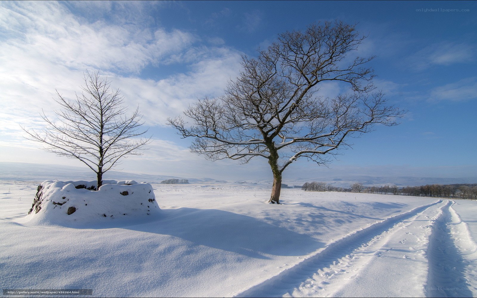 Snowy landscape with bare trees