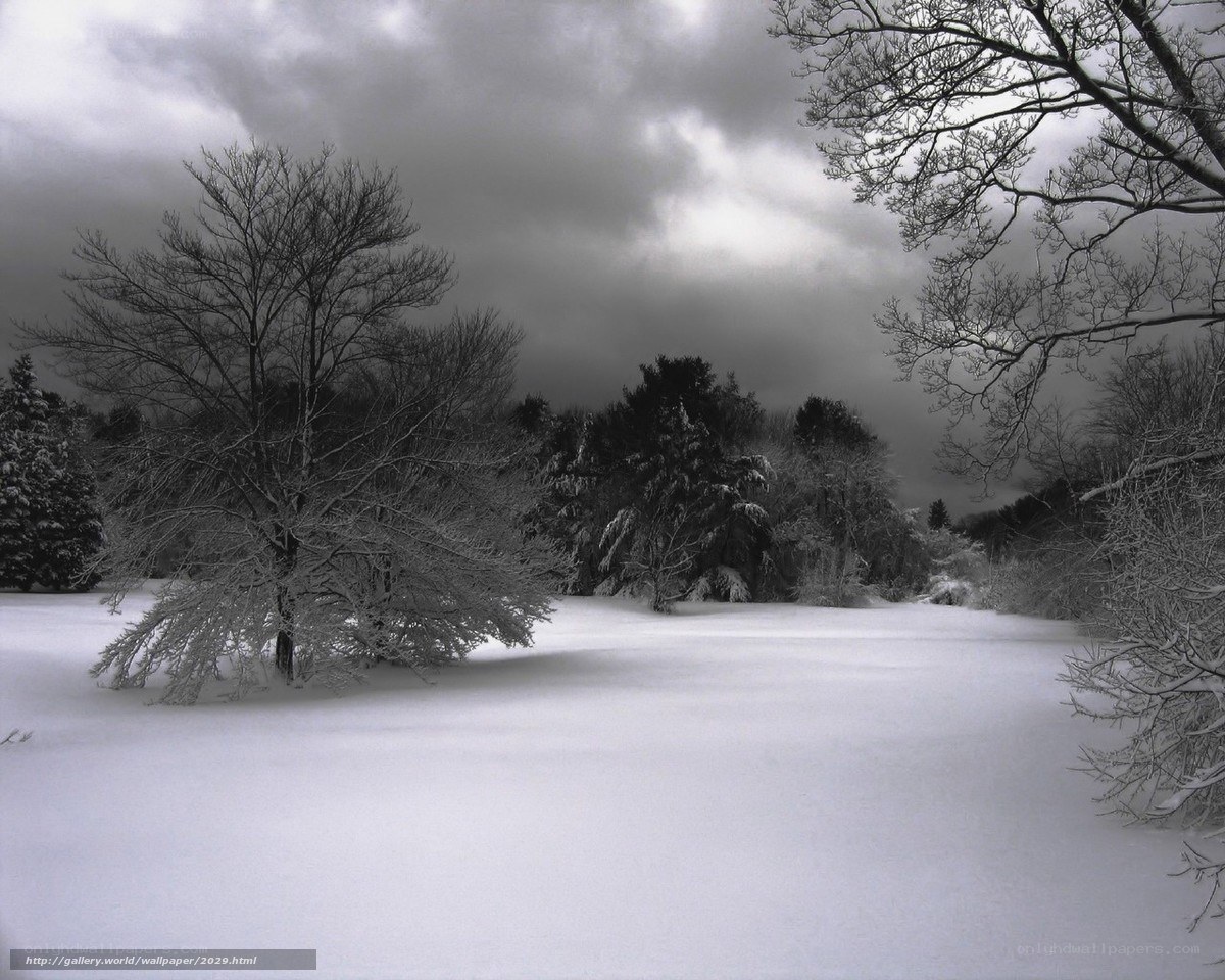 Snowy landscape with bare trees