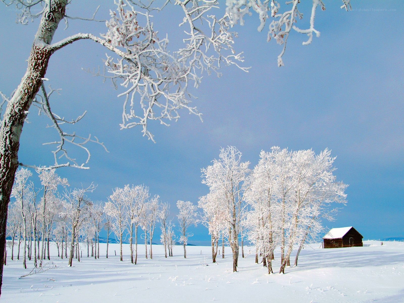 Snowy landscape with cabin