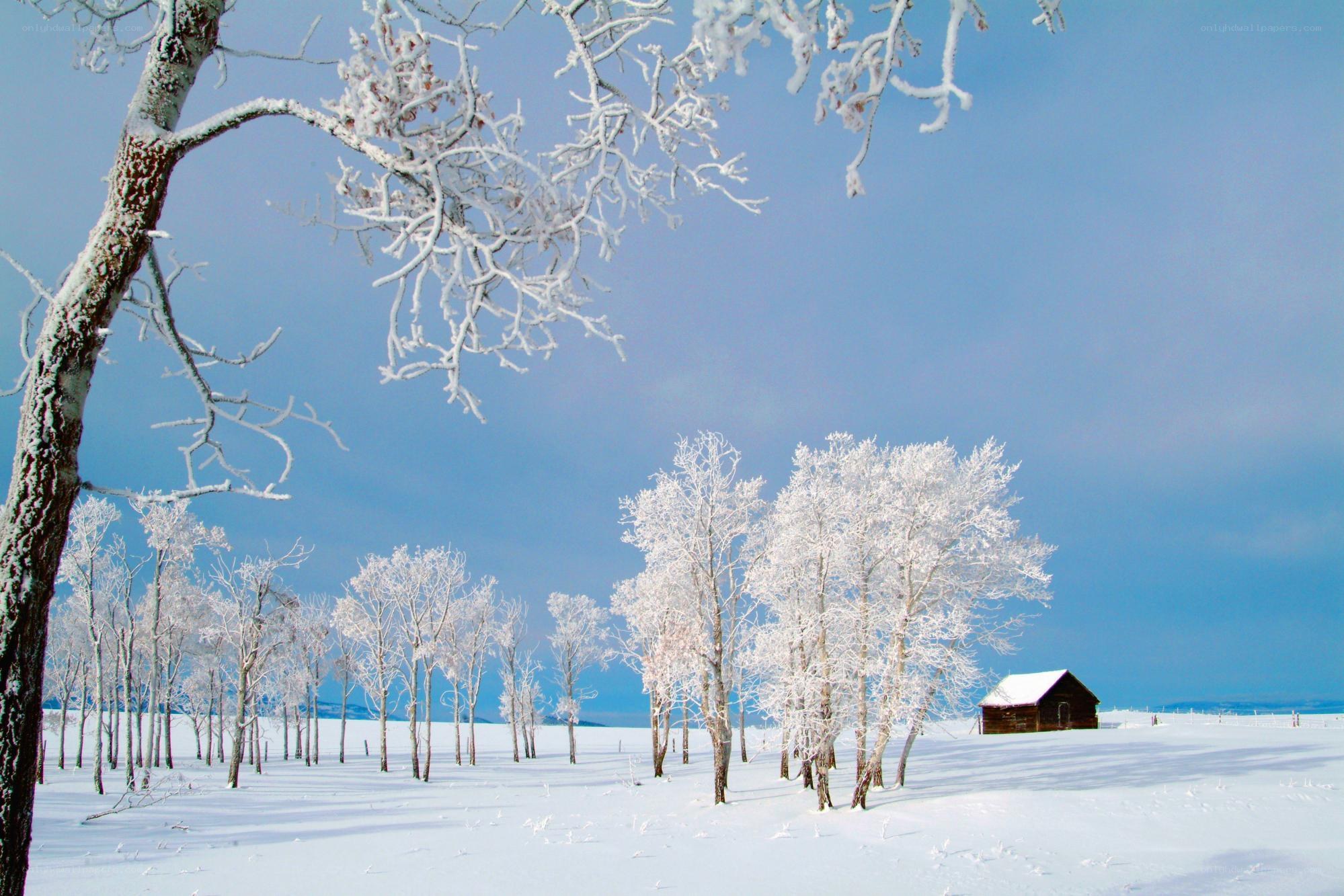Snowy landscape with cabin