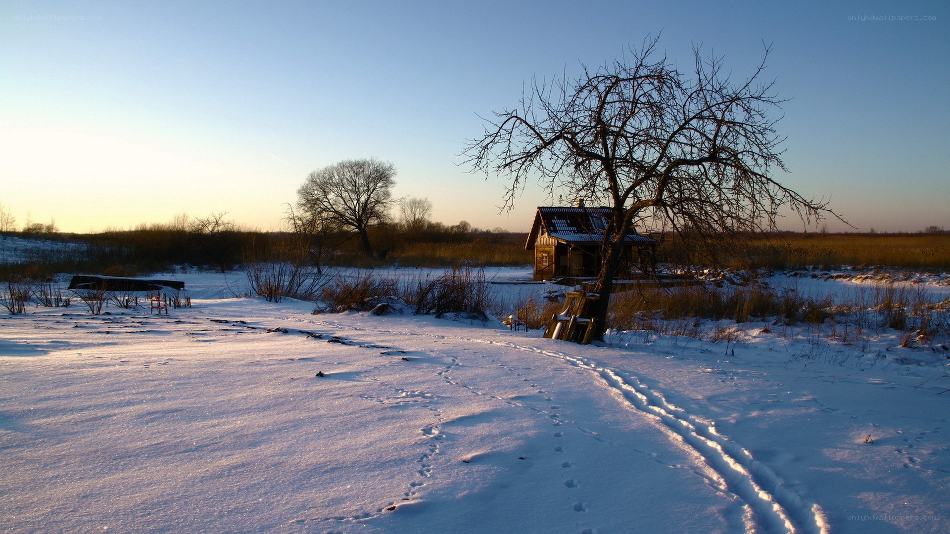 Snowy landscape with cabin