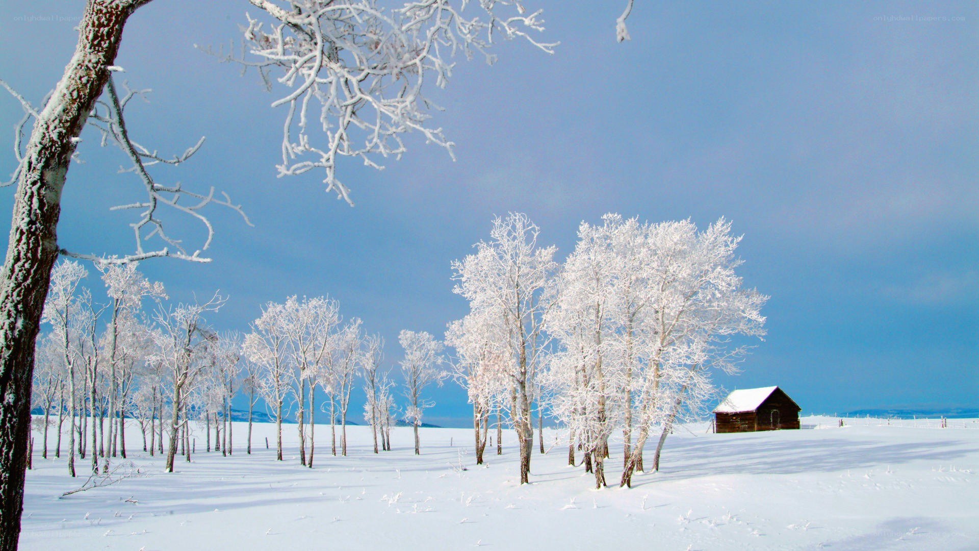 Snowy landscape with cabin