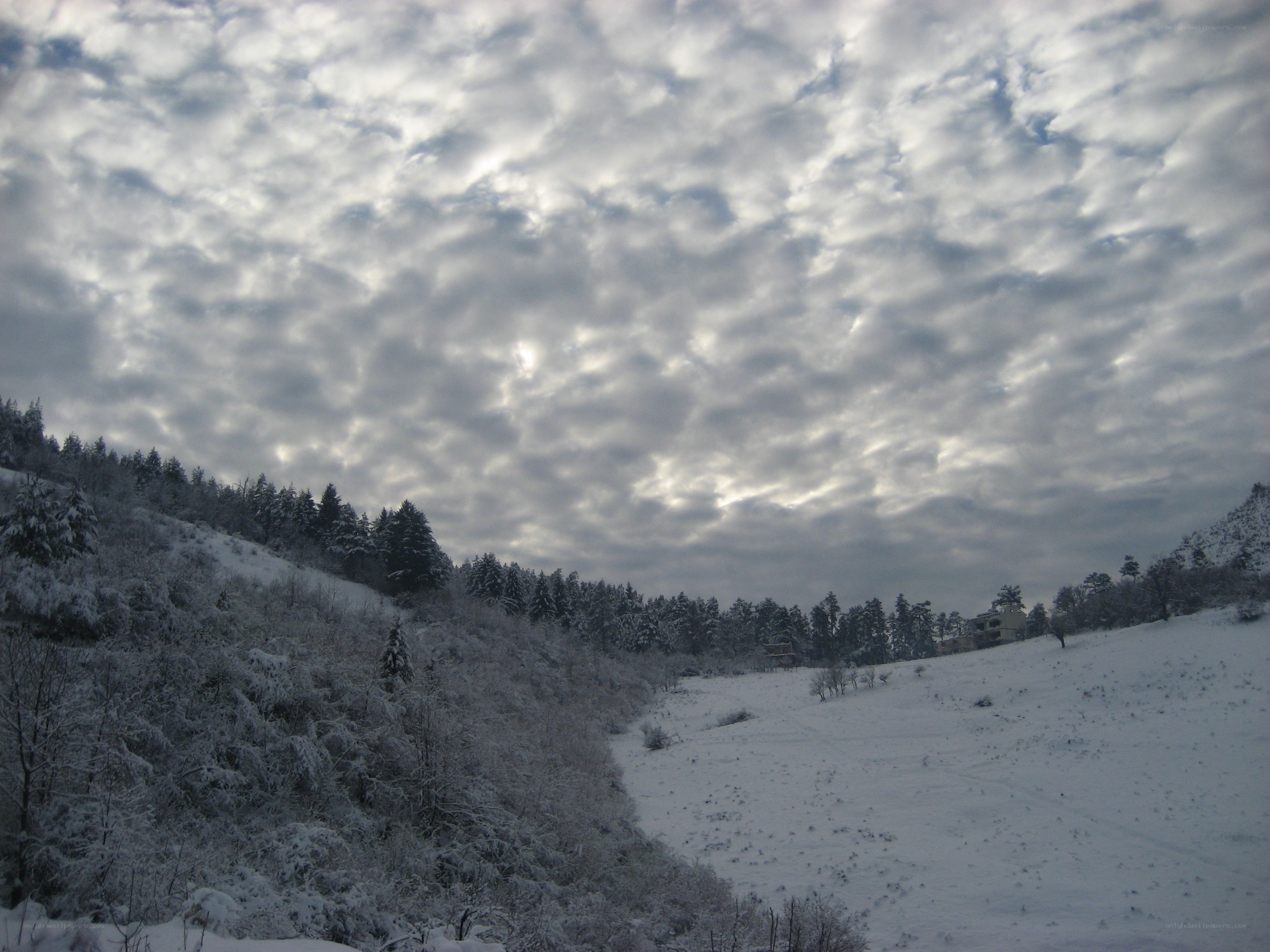 Snowy landscape with cloudy sky