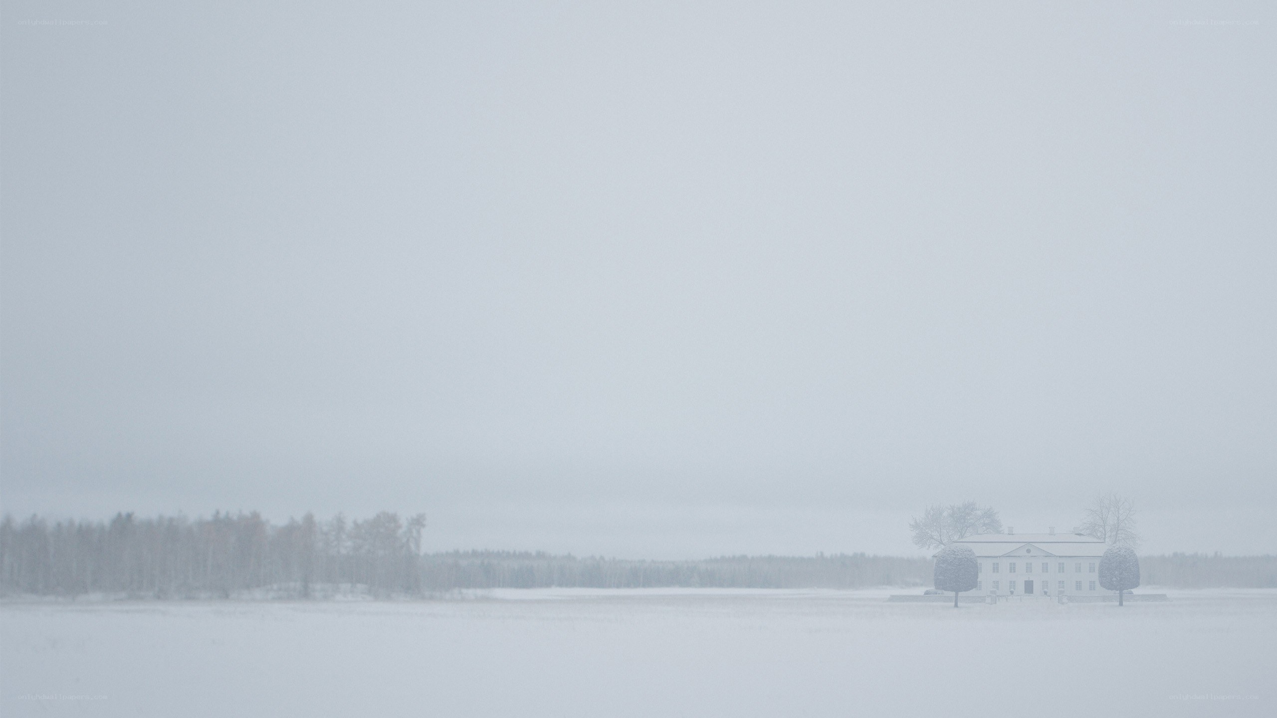 Snowy landscape with distant house