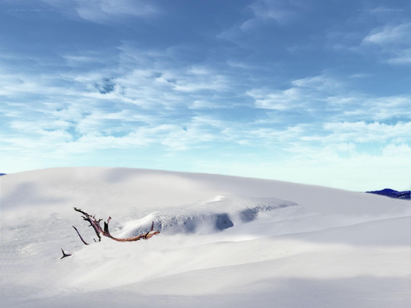 Snowy landscape with drifts