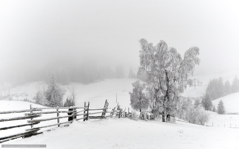 Snowy landscape with fence