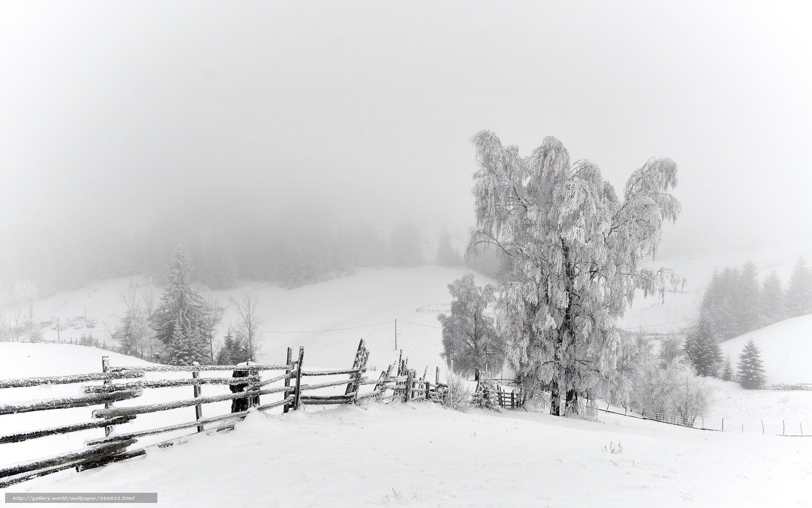Snowy landscape with fence
