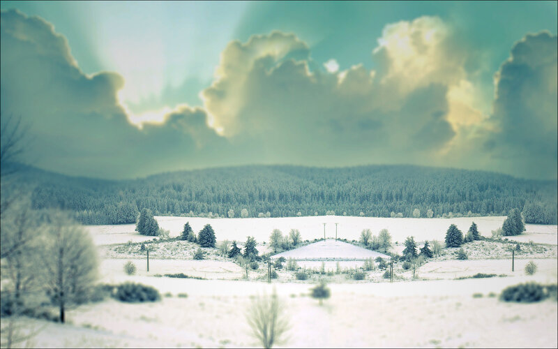 Snowy landscape with forest