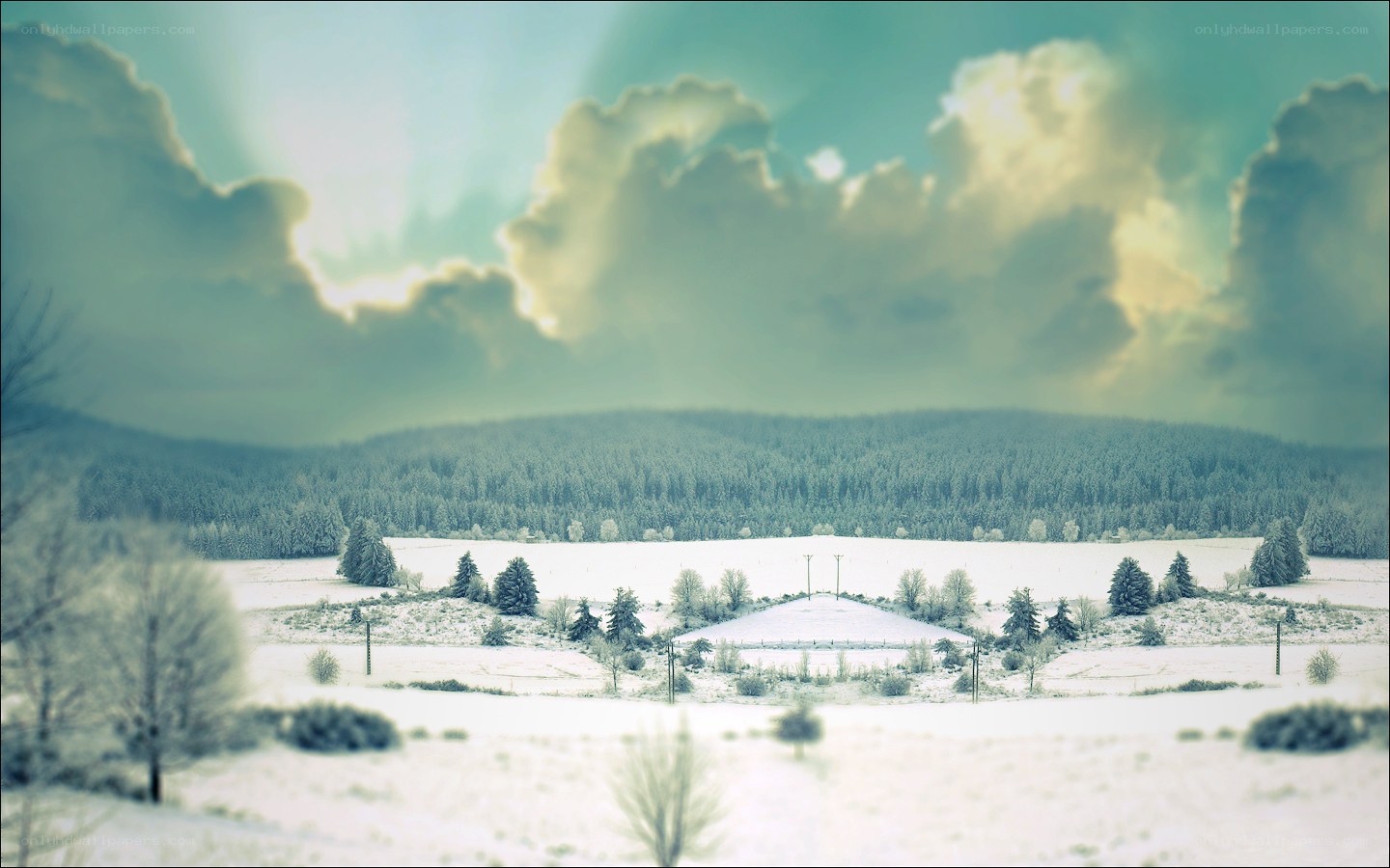 Snowy landscape with forest