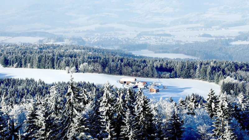 Snowy landscape with forest and farm