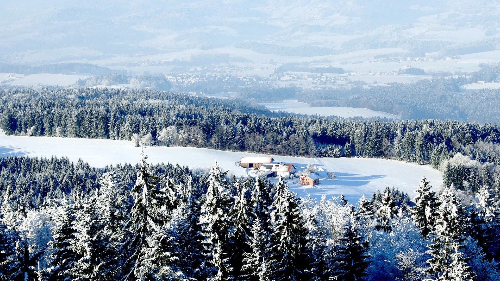 Snowy landscape with forest and farm