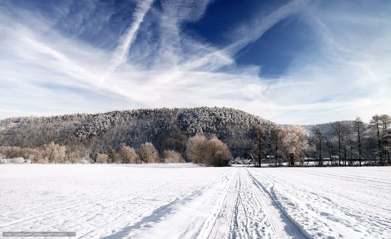 Snowy landscape with forest