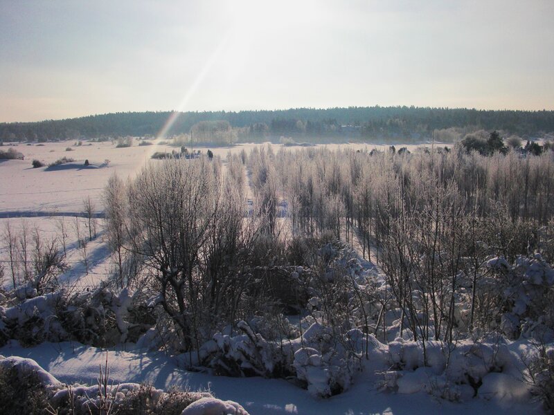 Snowy landscape with frost-covered trees