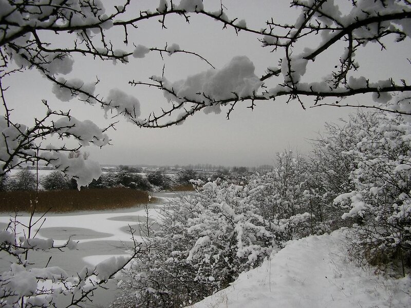 Snowy landscape with frozen pond