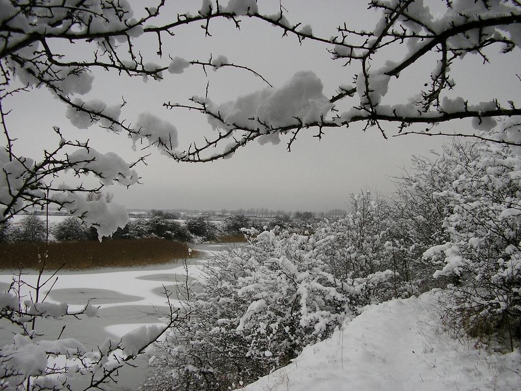 Snowy landscape with frozen pond