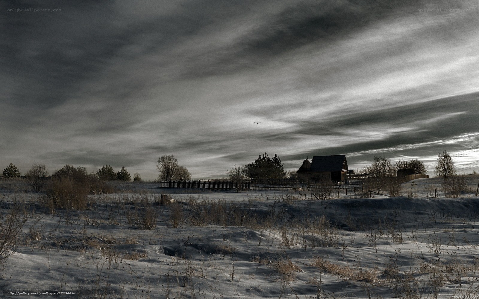 Snowy landscape with house