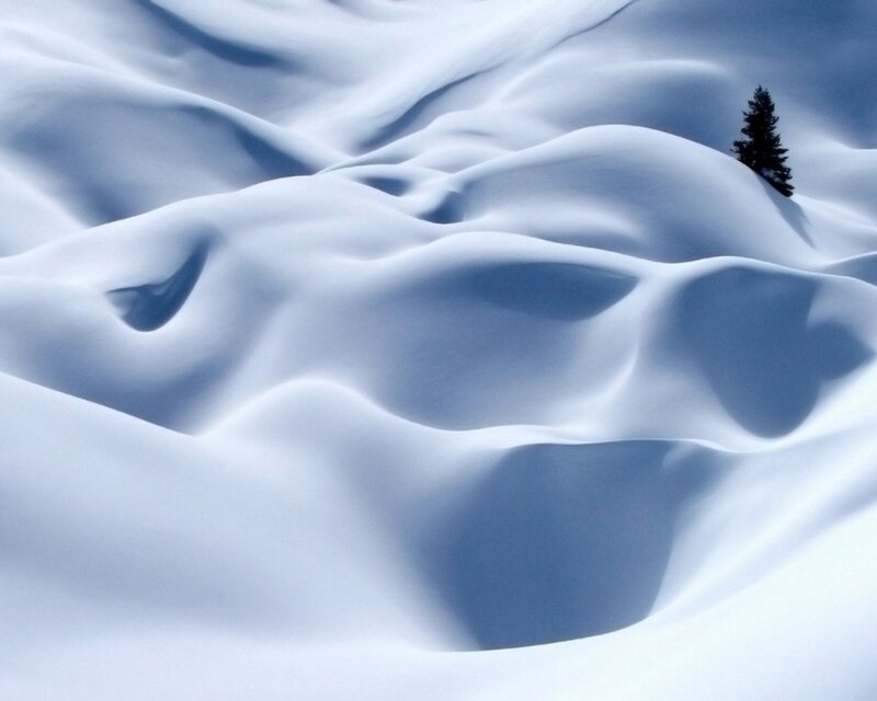 Snowy landscape with lone tree