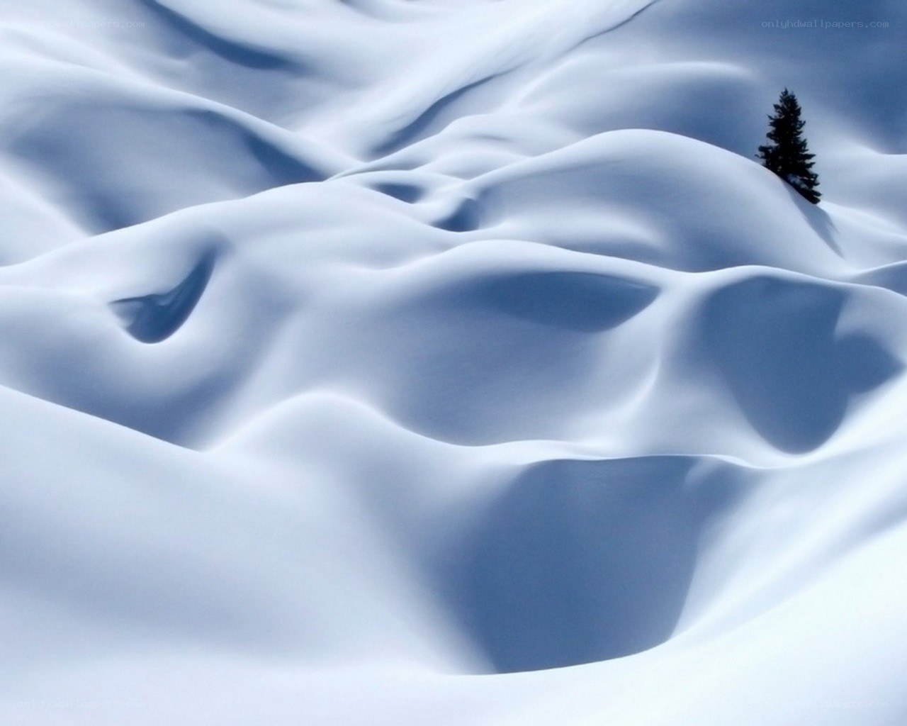 Snowy landscape with lone tree