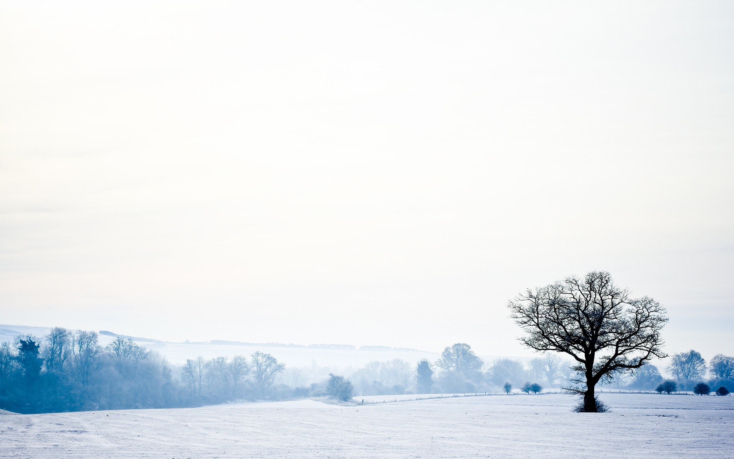 Snowy landscape with lone tree